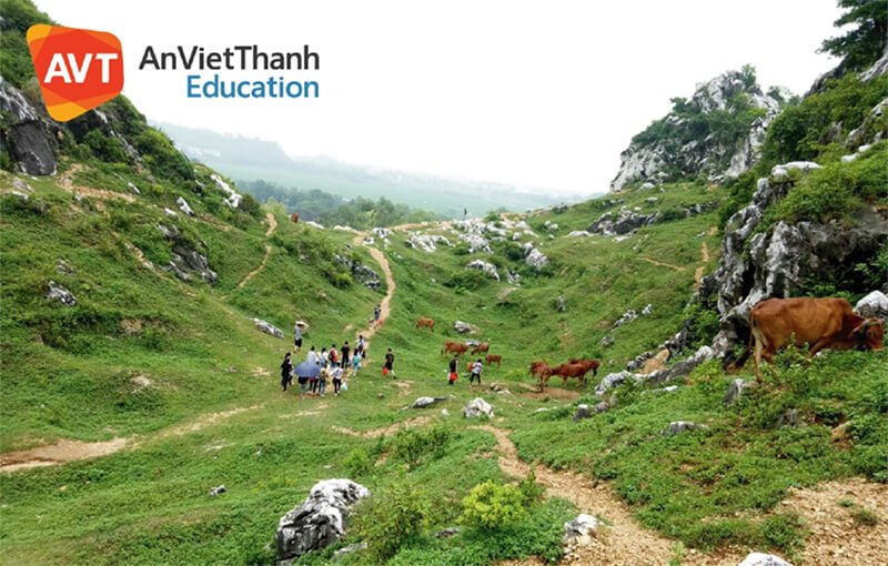 doan quan avt do xuong thung lung