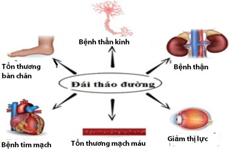 cach lap ke hoach cham soc benh nhan dai thao duong chi tiet nhat