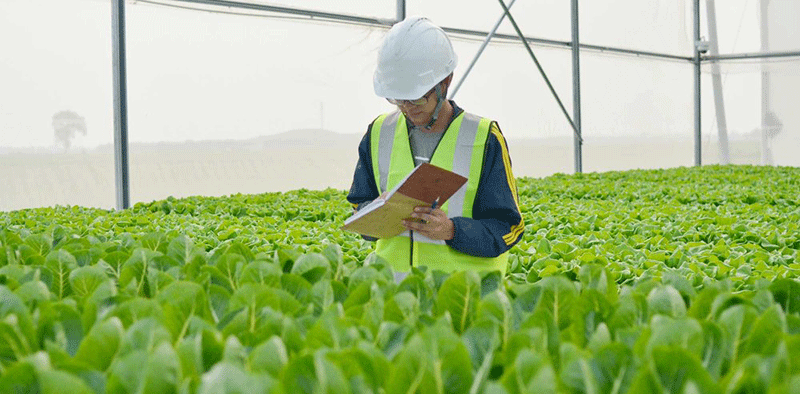 Có nên lựa chọn các trường đại học nông nghiệp Nhật Bản để du học?