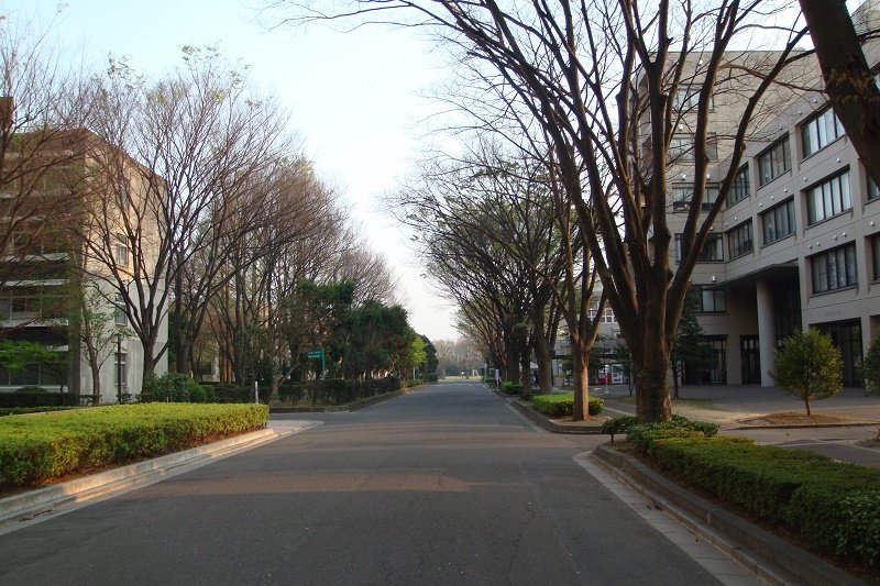 Trường đại học Saitama cung cấp nhiều chương trình học bổng