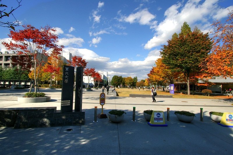 dai hoc tohoku 1
