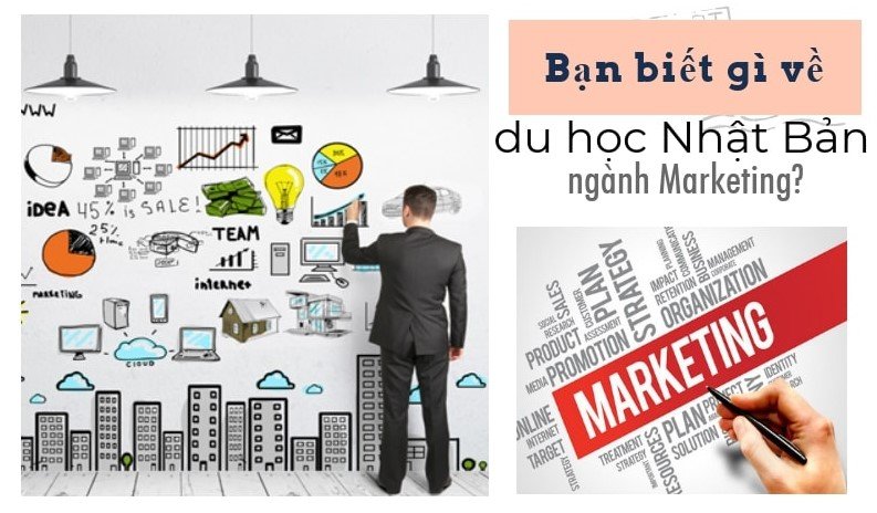 Du học Nhật Bản ngành marketing
